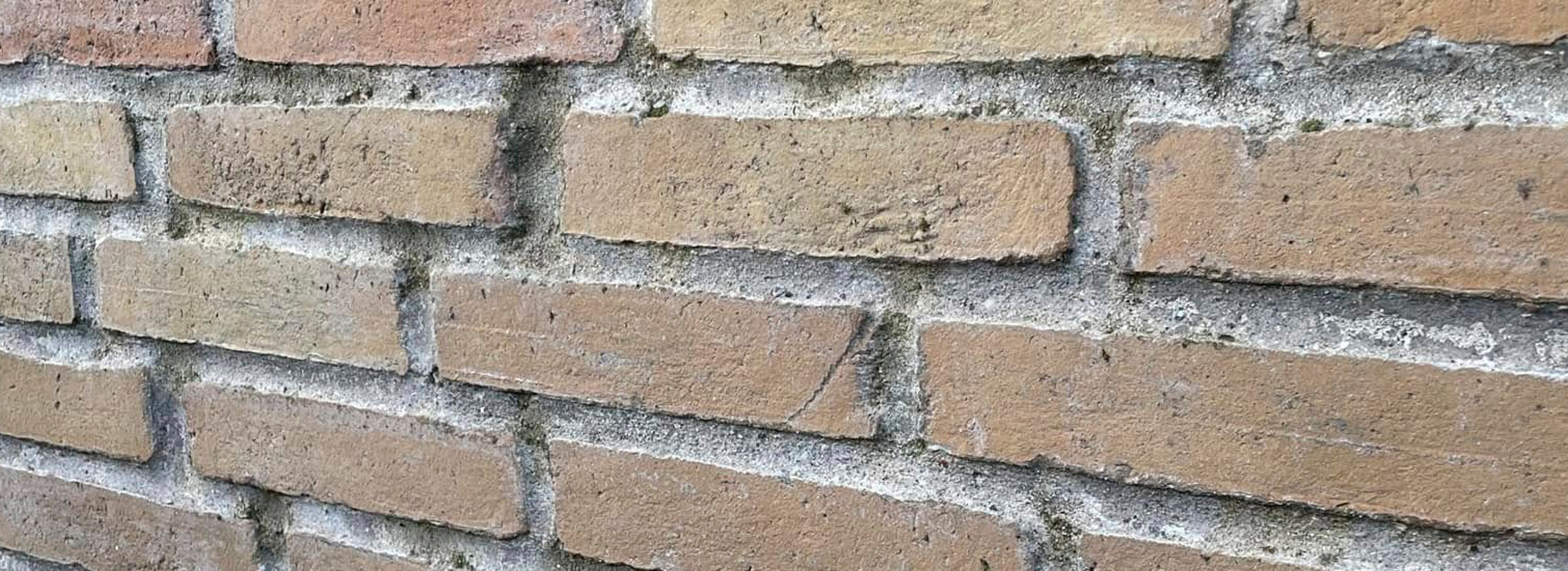 førbillede førbillede